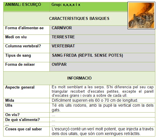 classificació animals
