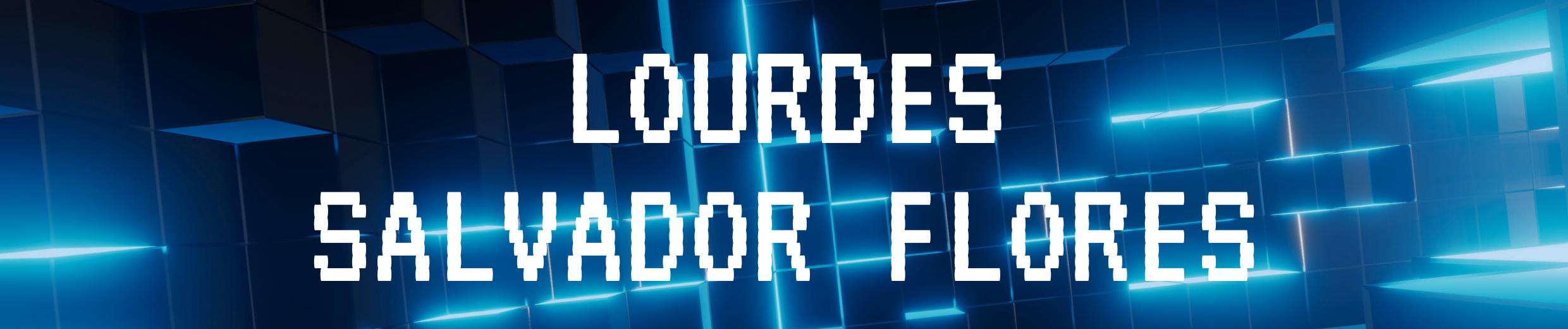 Lourdes Salvador Flores