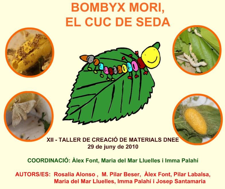 Bombyx Mori, el cuc de seda