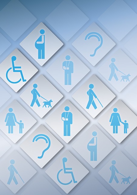 Articles d'accessibilitat web