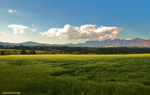 Paisatge d'un camp verd amb les muntanyes de Montserrat al fons amb un cel clar i uns núvols blancs.
