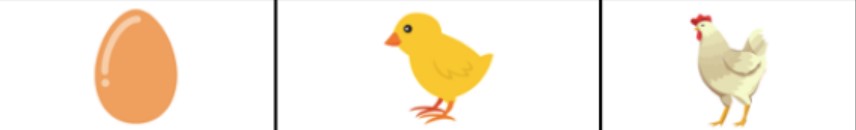 Una seqüència de 3 imatges en què es veu un ou a l'esquerra, un pollet al centre i una gallina a la dreta.